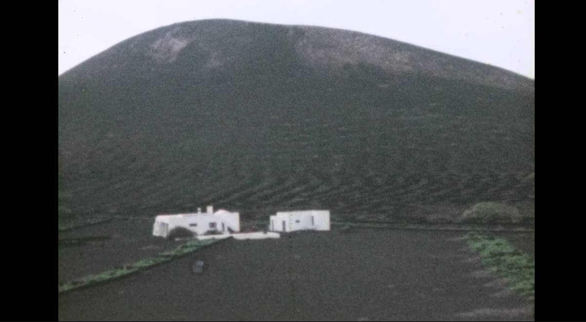 Cultivos de La Geria en VIDEOS 